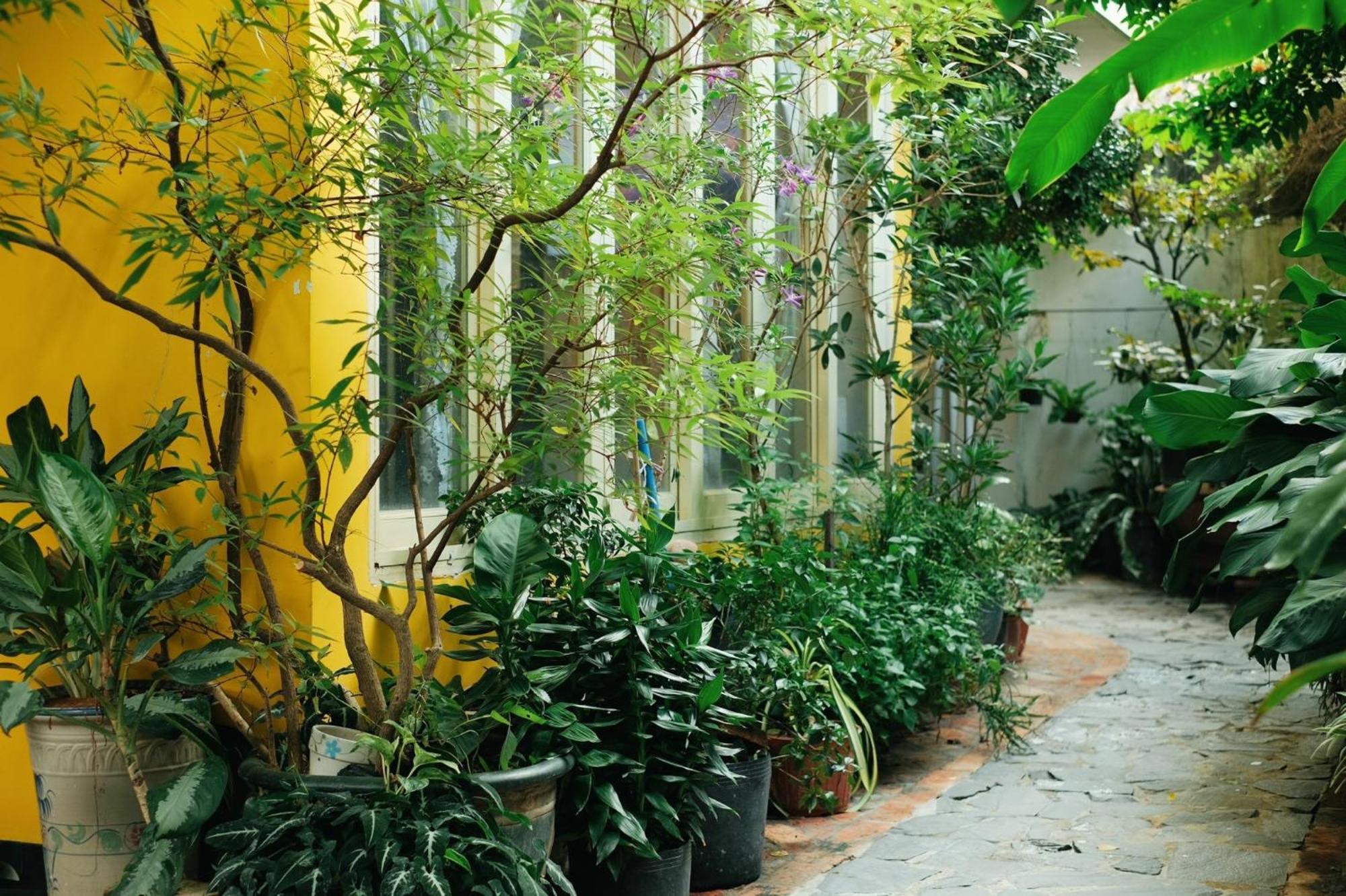 Homestay In Tây Ninh Exterior foto